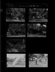 Water main burst; Tree and shelter fell on car (7 Negatives), March - July 1956, undated [Sleeve 40, Folder g, Box 10]
